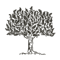 Illustration du chêne, symbole basque – Katxi Klothing